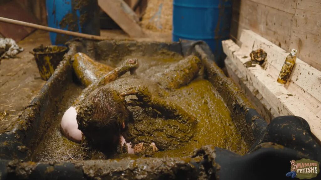 Franky’s Time in the Manure Basin