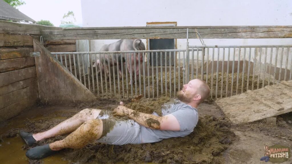 Franky The Pig